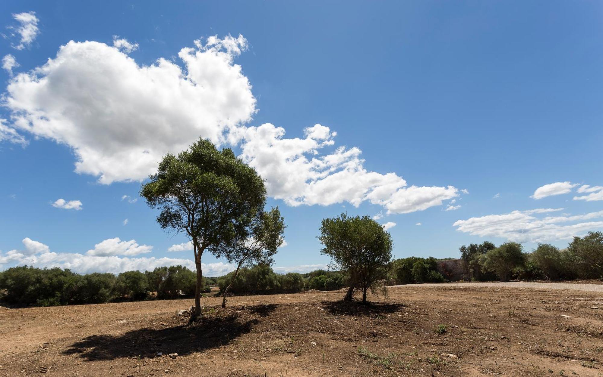 Agroturismo Santa Mariana Alaior Eksteriør bilde