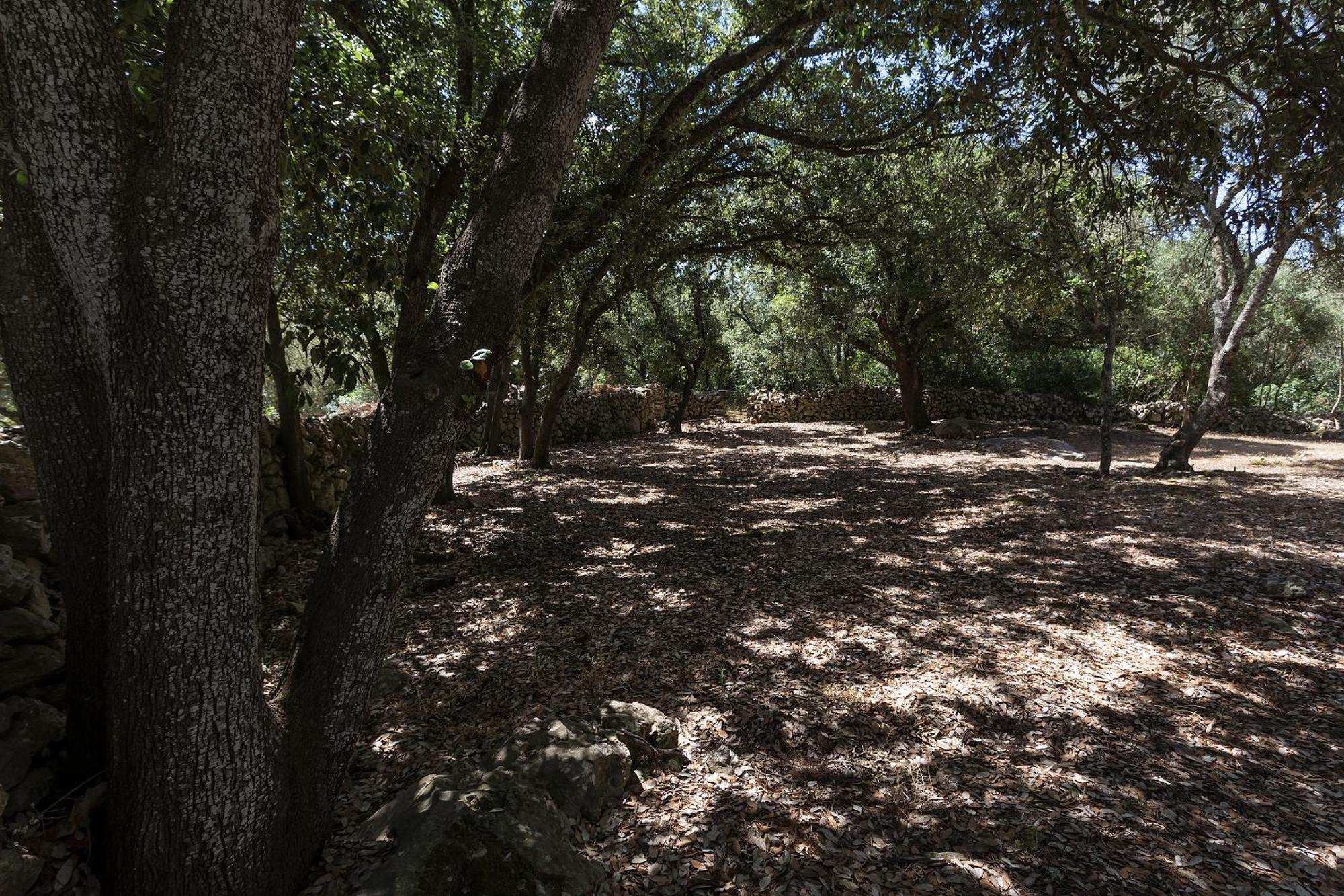 Agroturismo Santa Mariana Alaior Eksteriør bilde
